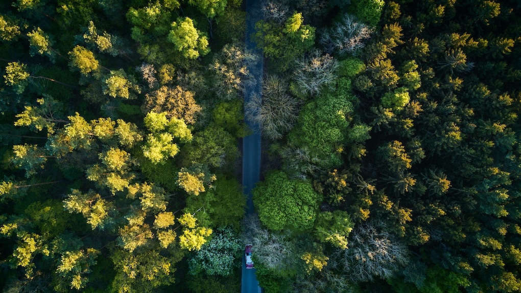因應ESG法規的挑戰與機遇